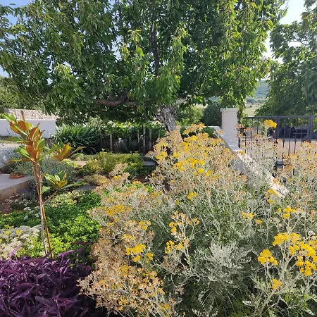 Hébergement de vacances Belvedere *