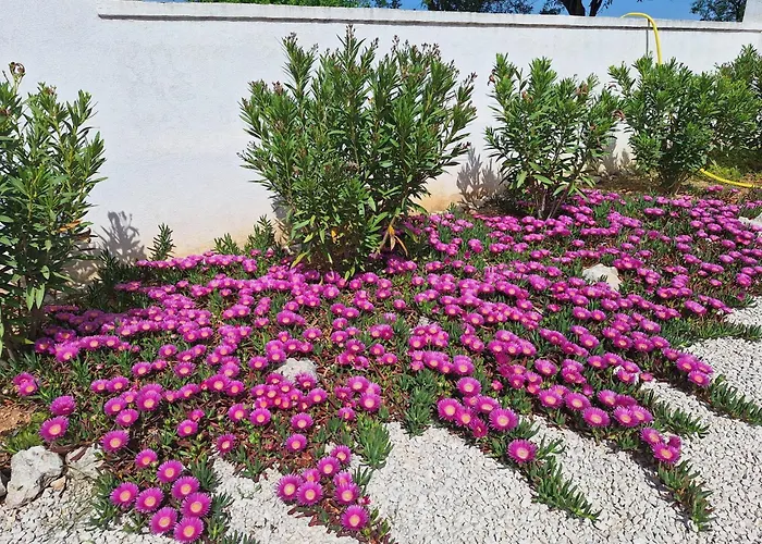 Belvedere Vikendica Benkovac