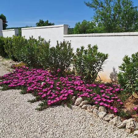 Holiday home Belvedere *